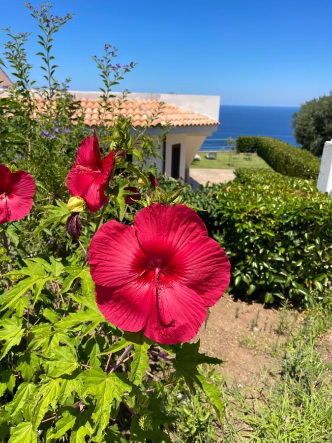 Villa Sofia *Luxury Experience In Calabria Zambrone Εξωτερικό φωτογραφία